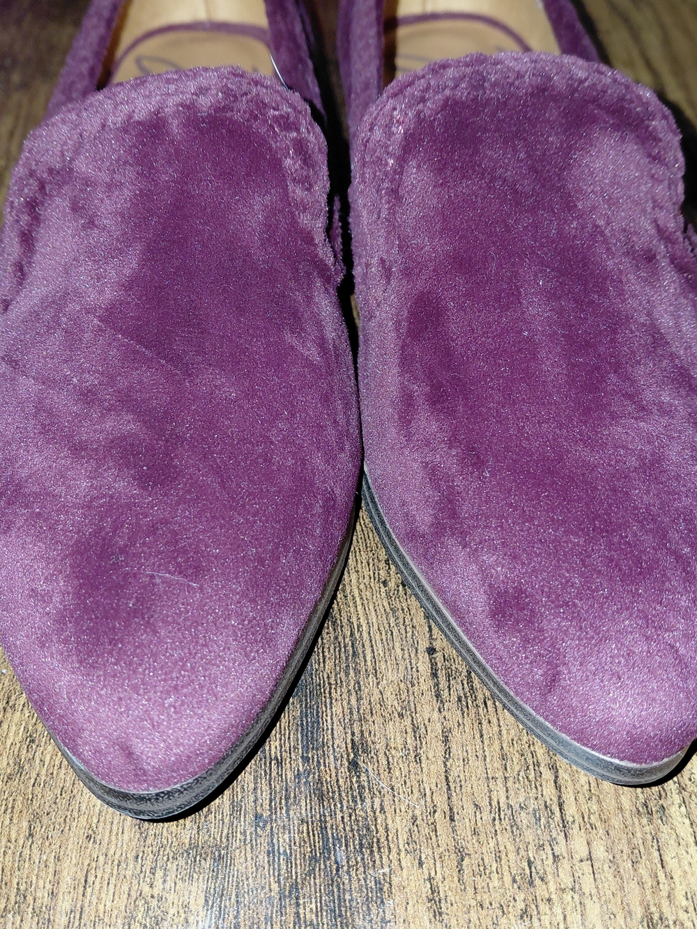 Zodiac Plum Suede Pointed-Toe Flats - Picture 6 of 6